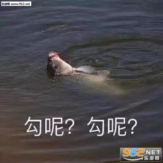���ع��ر����