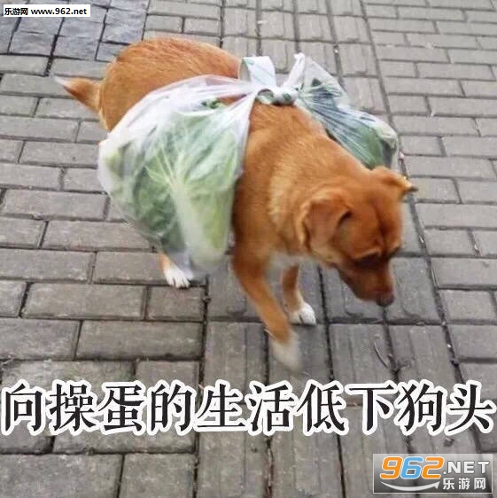 多行不E必自毙亚索表情包 多行不E必自毙亚索表情包
