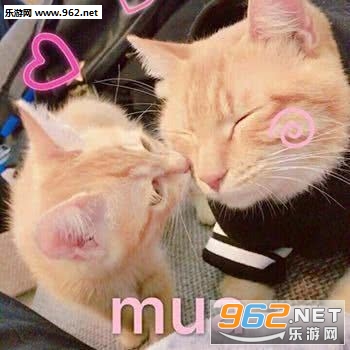 ��Ҫ���������±����
