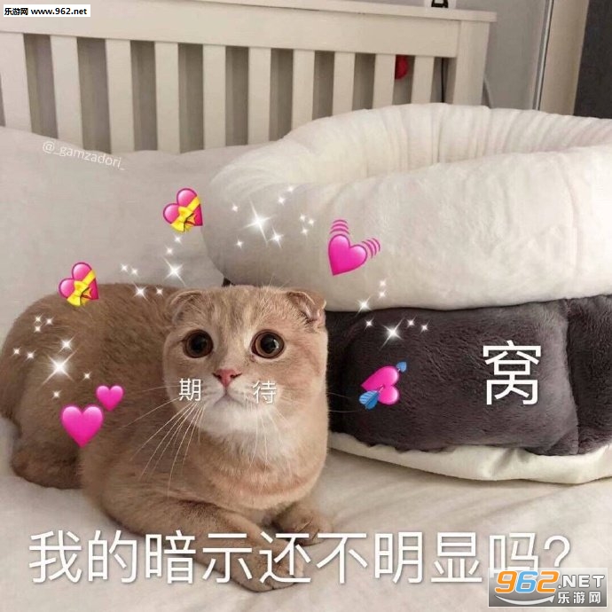 �����Ƿ�������