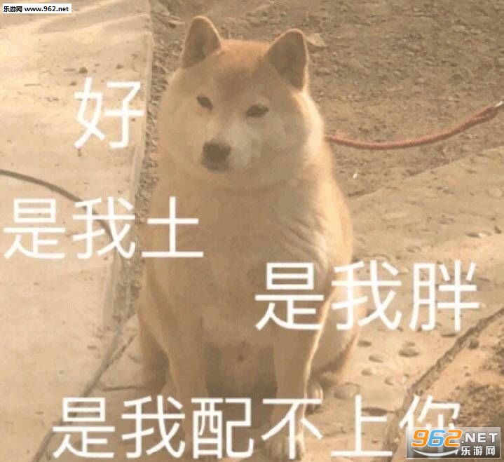 ������������ͼƬͼ��
