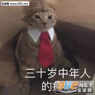 �ƽ�������������