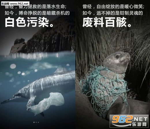 守护这片海安卓版 守护这片海安卓版