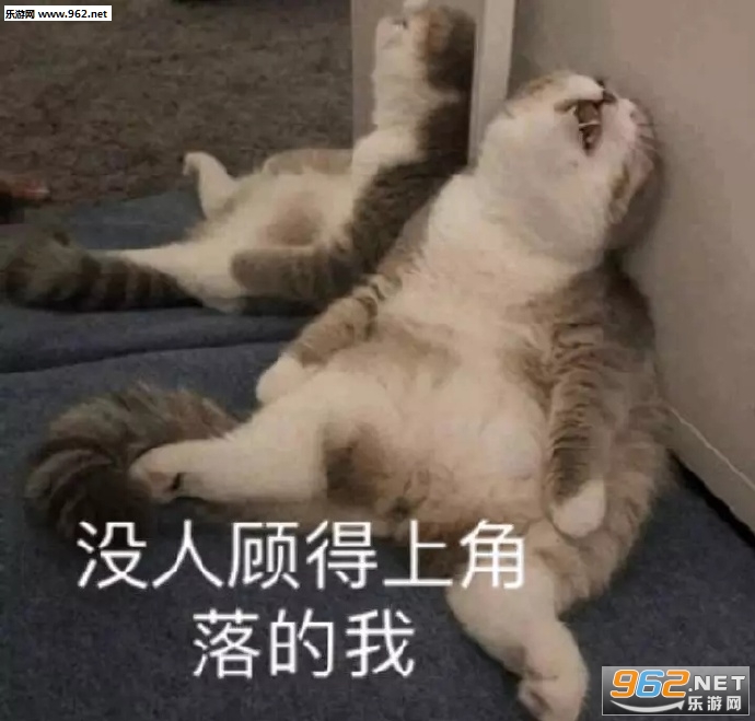 ��һ����������һ��Сɵ�ϱ����