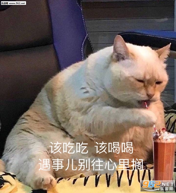 ��һ����������һ��Сɵ�ϱ����