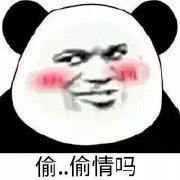 �򹷱��ڱ����
