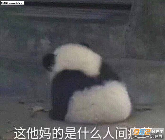 这他妈的是什么人间疾苦小熊猫表情包