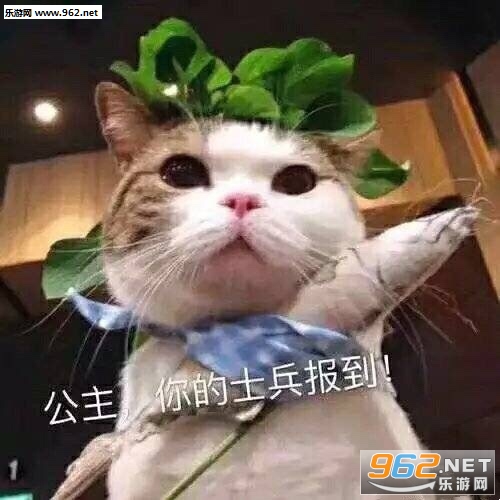 这他妈的是什么人间疾苦小熊猫表情包