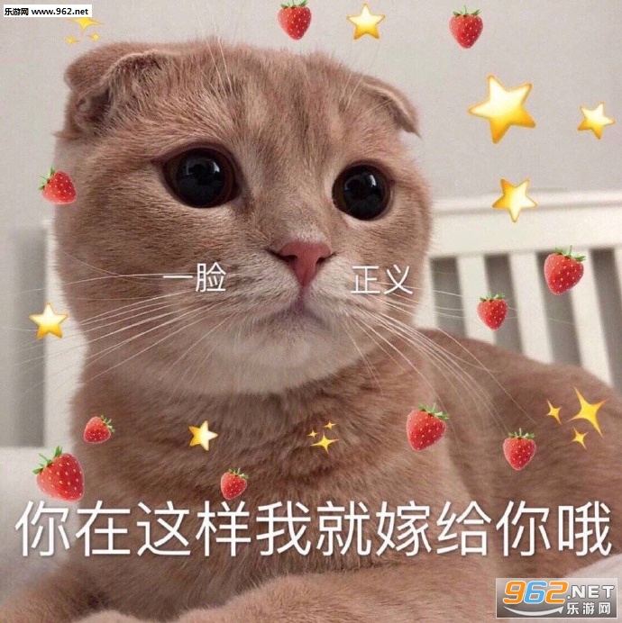 这他妈的是什么人间疾苦小熊猫表情包