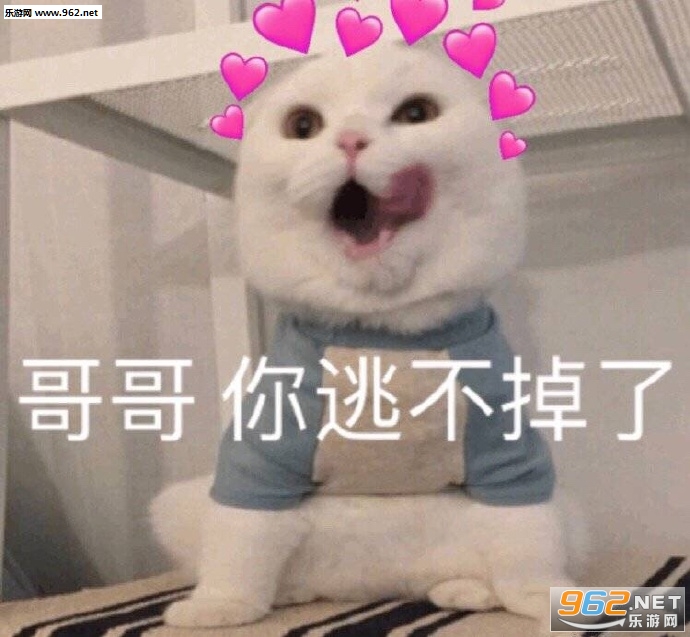 这他妈的是什么人间疾苦小熊猫表情包