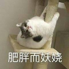 ����������������