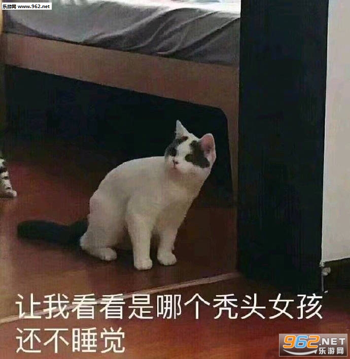 ����Ū���������˱����