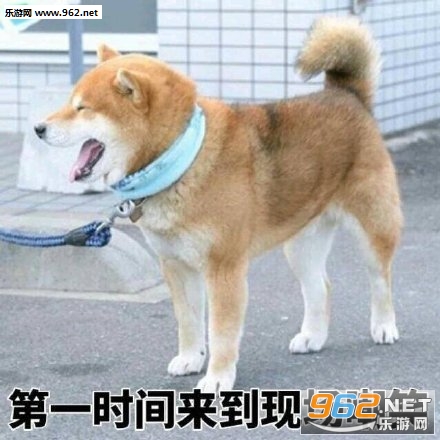 ����Ū���������˱����