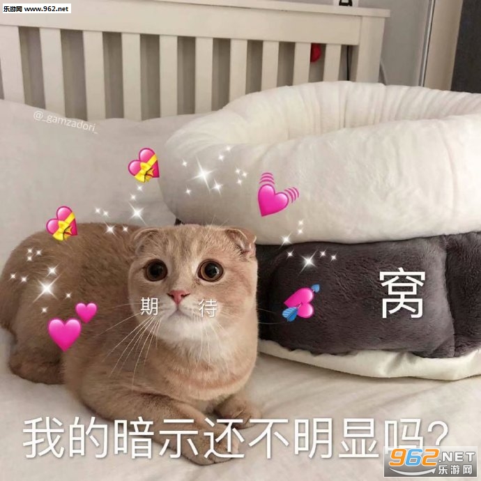 我蝴蝶结没掉吧表情包图片 我蝴蝶结没掉吧表情包图片