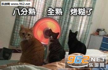 Ҫ�����������