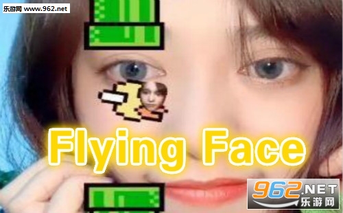 ����Flying Face��Ϸ