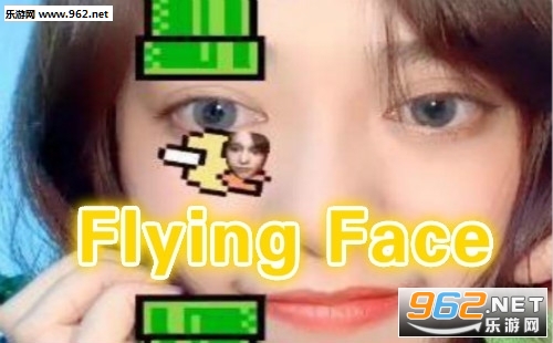 Flying Face��׿��