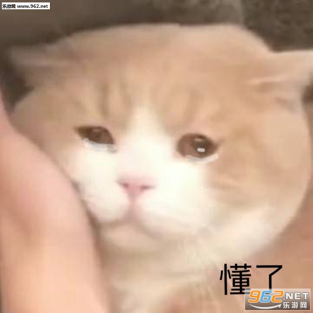 �����ҵĿ�����߱����