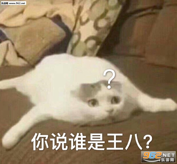 �ɳ��޾ݱ����