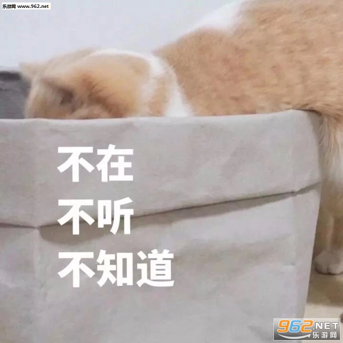 è����̲�����