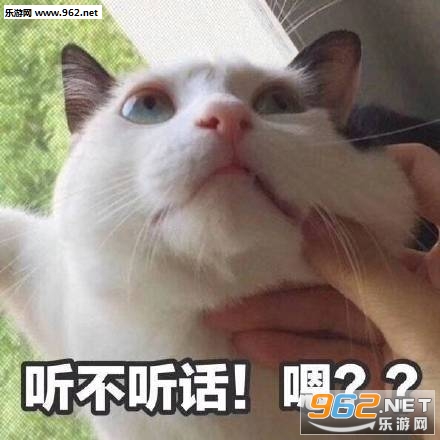 �����簡С��������
