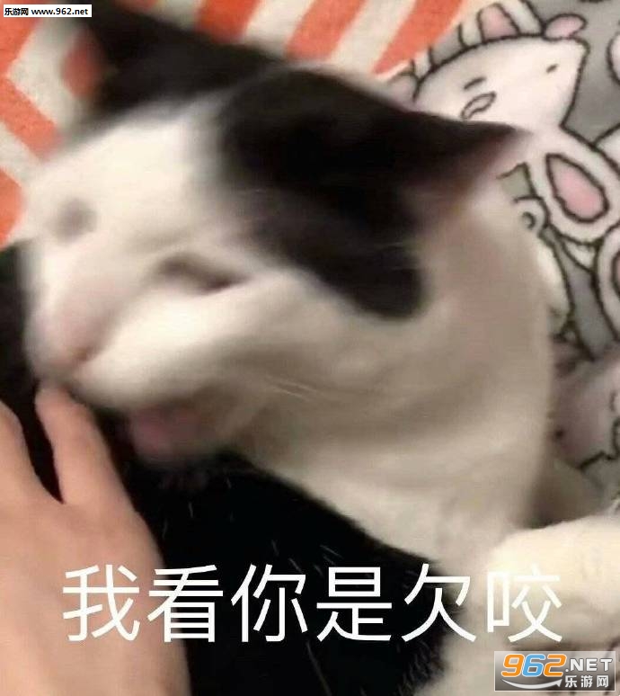 �����簡С��������