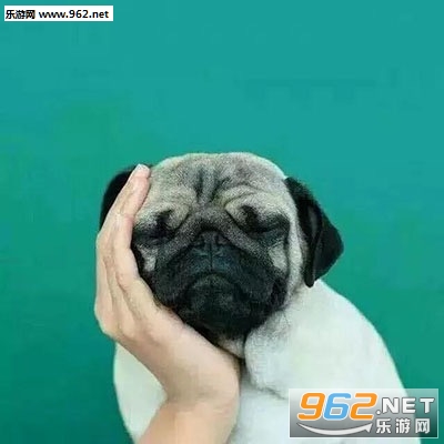 ����������������ͷͼƬ