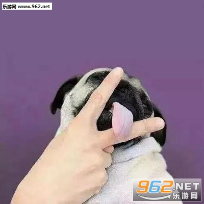 ����������������ͷͼƬ