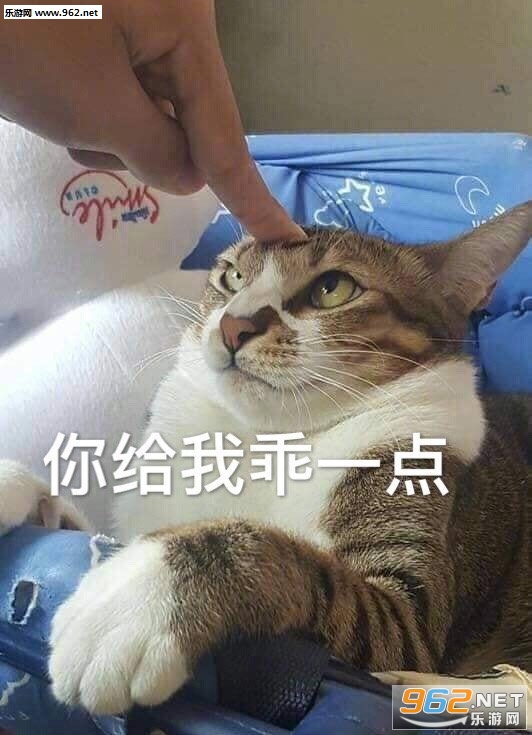 �е㶫�������ͼƬ
