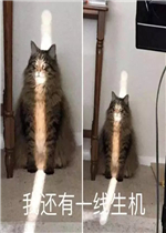 �һ���һ�����������