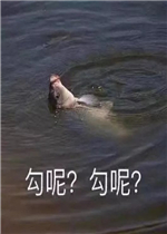 ���ع��ر����