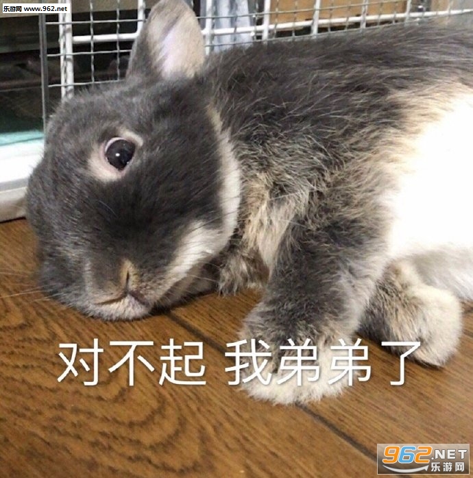 ��������һ�ѱ������ͼ4