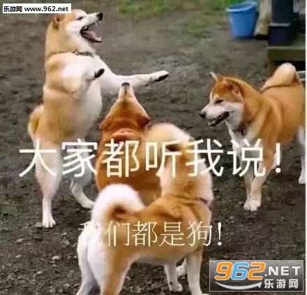 ������������ͼƬͼ���ͼ1
