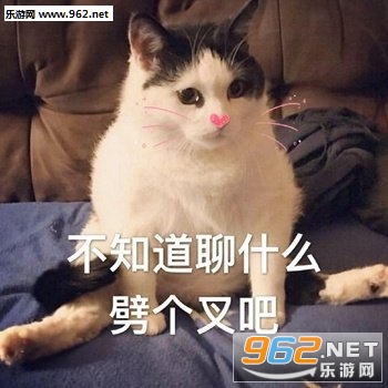 Ů�˰�����Ҫ��������ͼ6