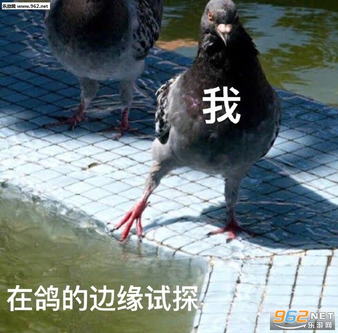 ��ʵ�Ҹղ�˵���Ƿ����������ͼ3