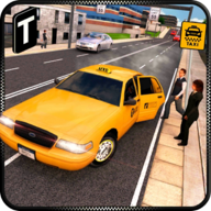 Taxi Driver 3D(���⳵˾������)