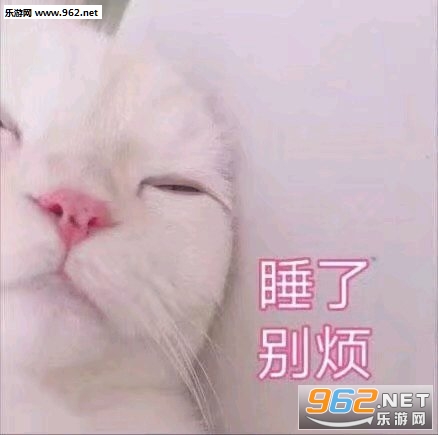 ��������������ͼ2