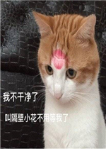 �Ҳ��ɾ���è�����