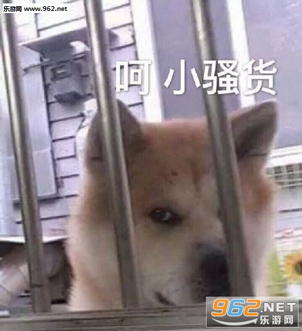 �������С������������ͼ5