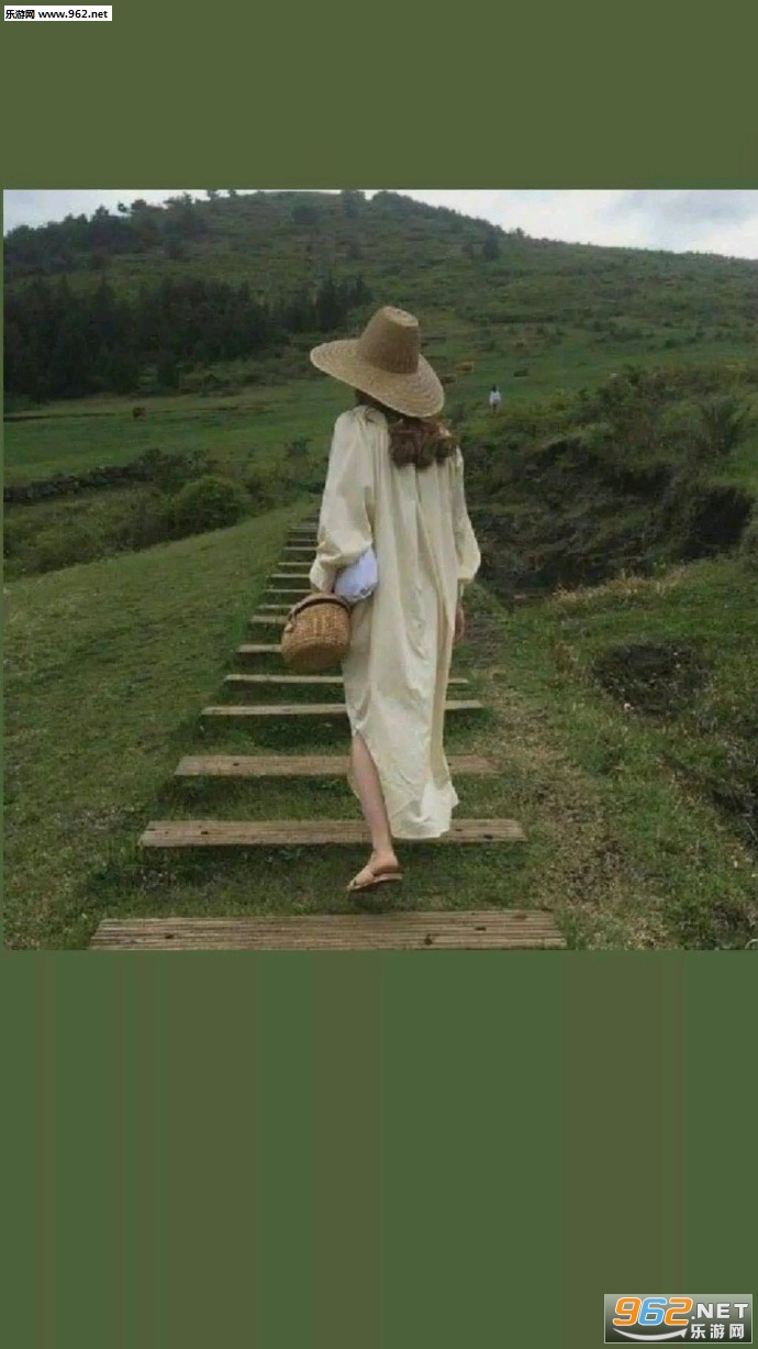 ţ�͹���ɫ��ֽ��ͼ4