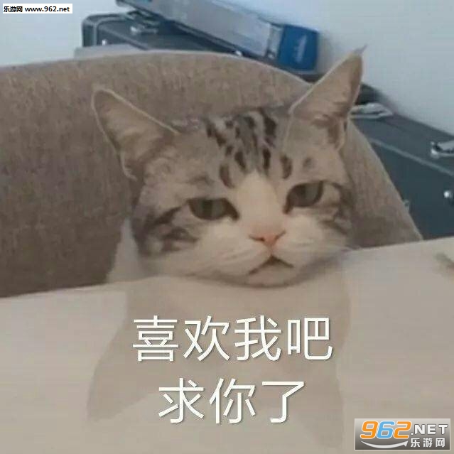 è����̲�������ͼ0