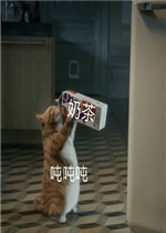 è����̲�����