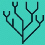 ������ʦapp