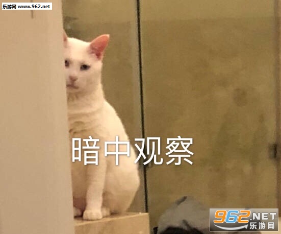 �����簡С����������ͼ1