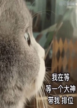 �����簡С��������