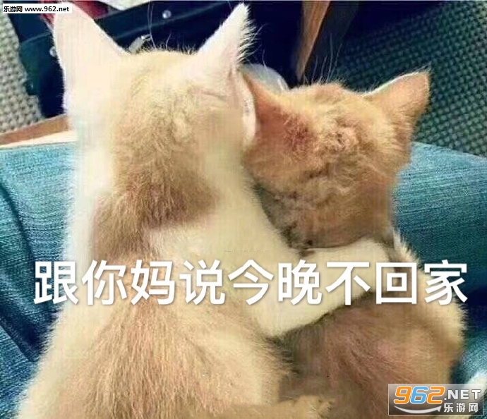 ���ȱ��Է���С������������ͼ0