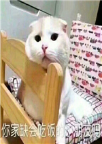 ���ȱ��Է���С����������