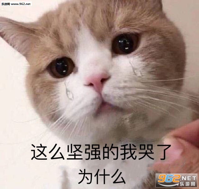�����ѵ����㲻��������ͼ7