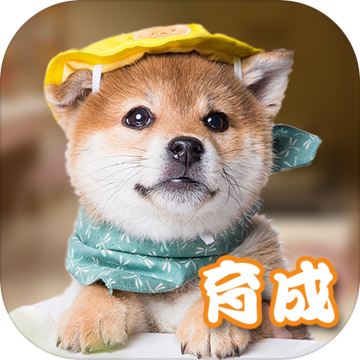 Ԫ��С�����°�