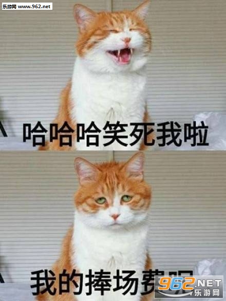 ����һ�������ҷϰ��������ͼ0